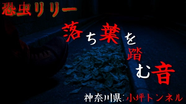 【心霊スポット】神奈川県|小坪トンネルの怖い話「落ち葉を踏む音」実話怪談・短編