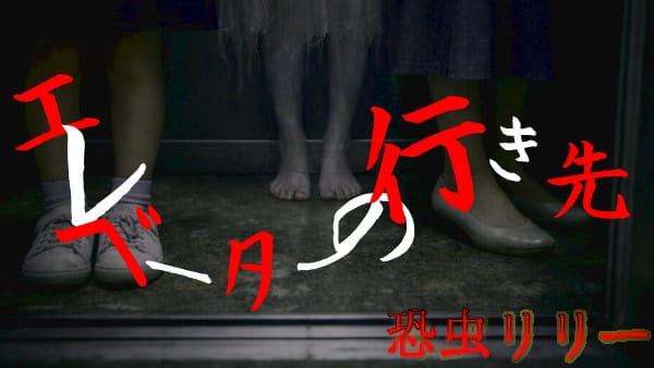 【怖い話|実話】短編「エレベーターの行き先」心霊怪談(兵庫県)