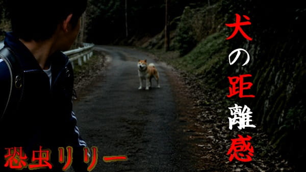 【怖い話｜実話】短編「犬の距離感」不思議怪談（大阪府）